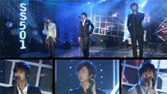SS501 - 因为我太傻