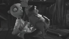 Pet
