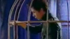 叶德娴,许志安 - 美中不足