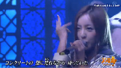 板野友美 - 1%