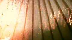 Light Heat - And The Birds