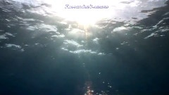 轻音乐 - Drop In The Ocean