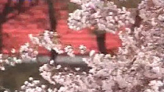 刘德华 - 谢谢你的爱