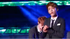 EXO,EXO-M - Wolf