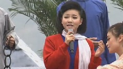 王莉 - 绣红旗