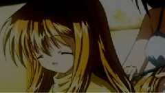 初音未来 - 鸟の诗