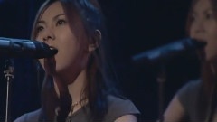 仓木麻衣 - Can't Forget Your Love