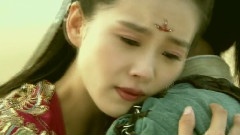 郑冰冰 - 轩辕剑之天之痕