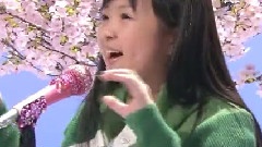 日本群星 - 大渔まつり