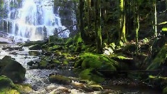 轻音乐 - Nelson Falls