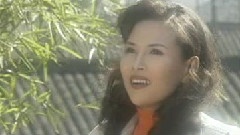 华语群星 - 乡里乡亲