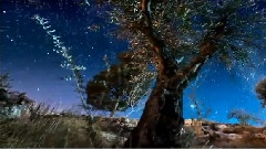 轻音乐,Bandari - Magic Winds