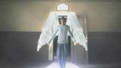 维尼夫妇 - In Heaven