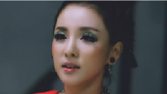 2NE1 - 2014 All Or Nothing 世界巡演 采访