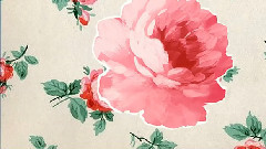 欧美群星 - Life Is Rosy