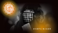 蔡琴 - 团圆