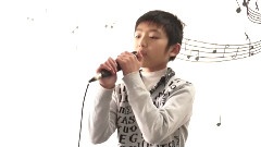 TF家族 - 无言