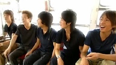 岚 - Fight Song