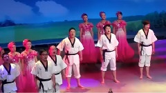 华语群星 - 拉网小调