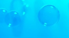 初音未来 - 再生