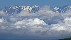 一路上有你