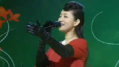 杨钰莹 - 我在春天等你