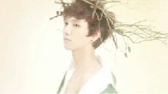 Super Junior - 'Sexy, Free & Single' Highlight Medley