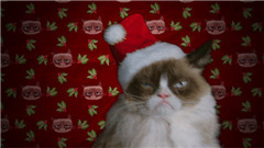 影视原声 - Grumpy Cat's Worst Christmas Ever预告