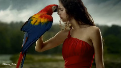 Leo Rojas - Now I Feel Alive...