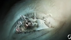 New - Stive Morgan - Metamorphosis