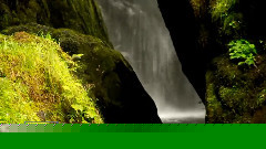 New - The Sound of Nature...