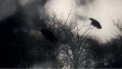 New - Conflicting Emotions
