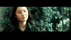 刘亦菲 - 飘摇
