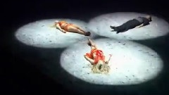 So You Think You Can Dance - So You Think You Can Dance S09E06 Landsay Nick whitney Cut