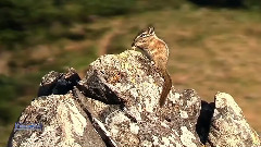 New - La Montana