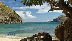 New - Yakuro - Blue Lagoon