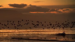 Chris Spheeris,音乐短片 - Solitary Road