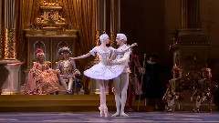 舞蹈视频 - David Hallberg