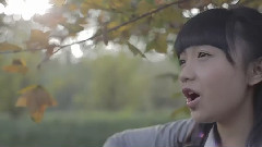 网络音乐 - 七里香