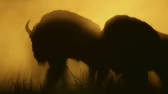 New - Beautiful World & Beautiful Nature