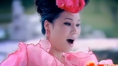 华语群星 - 情醉中华