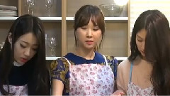 Nine Muses - 9Muses Cast