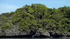 这瞬间