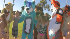 模仿翻唱 - San Diego Fursuit Fun