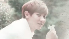 EXO-K,EXO - 酥莓