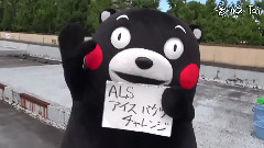 日本群星 - くまモン 冰桶挑战