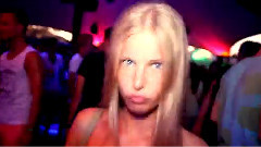 欧美群星 - Lunacy Party Holland 2014
