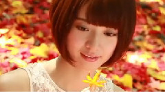 乃木坂46,AKB48 - 橋本奈々未 9月4日発売