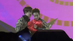 EXO,EXO-M - GEE