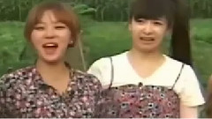 f(x),Kara,Secret - 土豆地小品:用假发逗乐